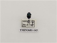 藏品(紅緣亮盾椿)的圖片